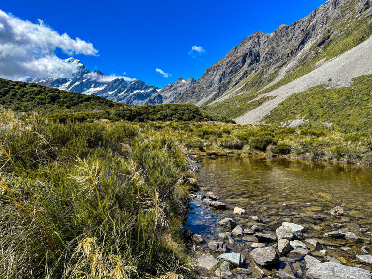 hooker valley track