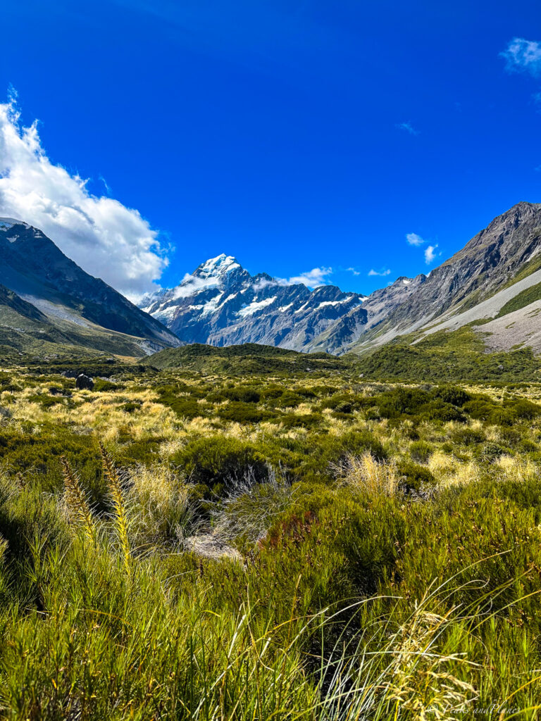 hooker valley track